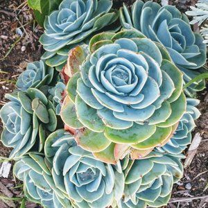 Meet your Posher, Rewearable